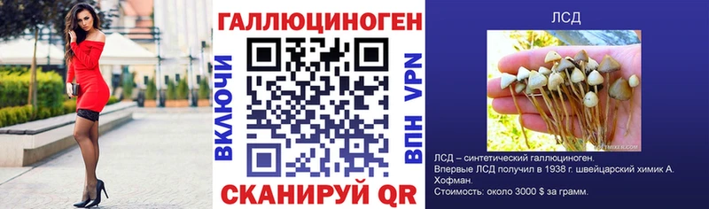 Галлюциногенные грибы Psilocybe  Урус-Мартан 