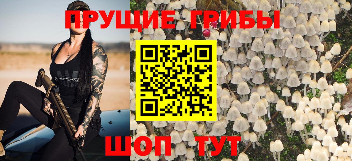Псилоцибиновые грибы Psilocybe Урус-Мартан